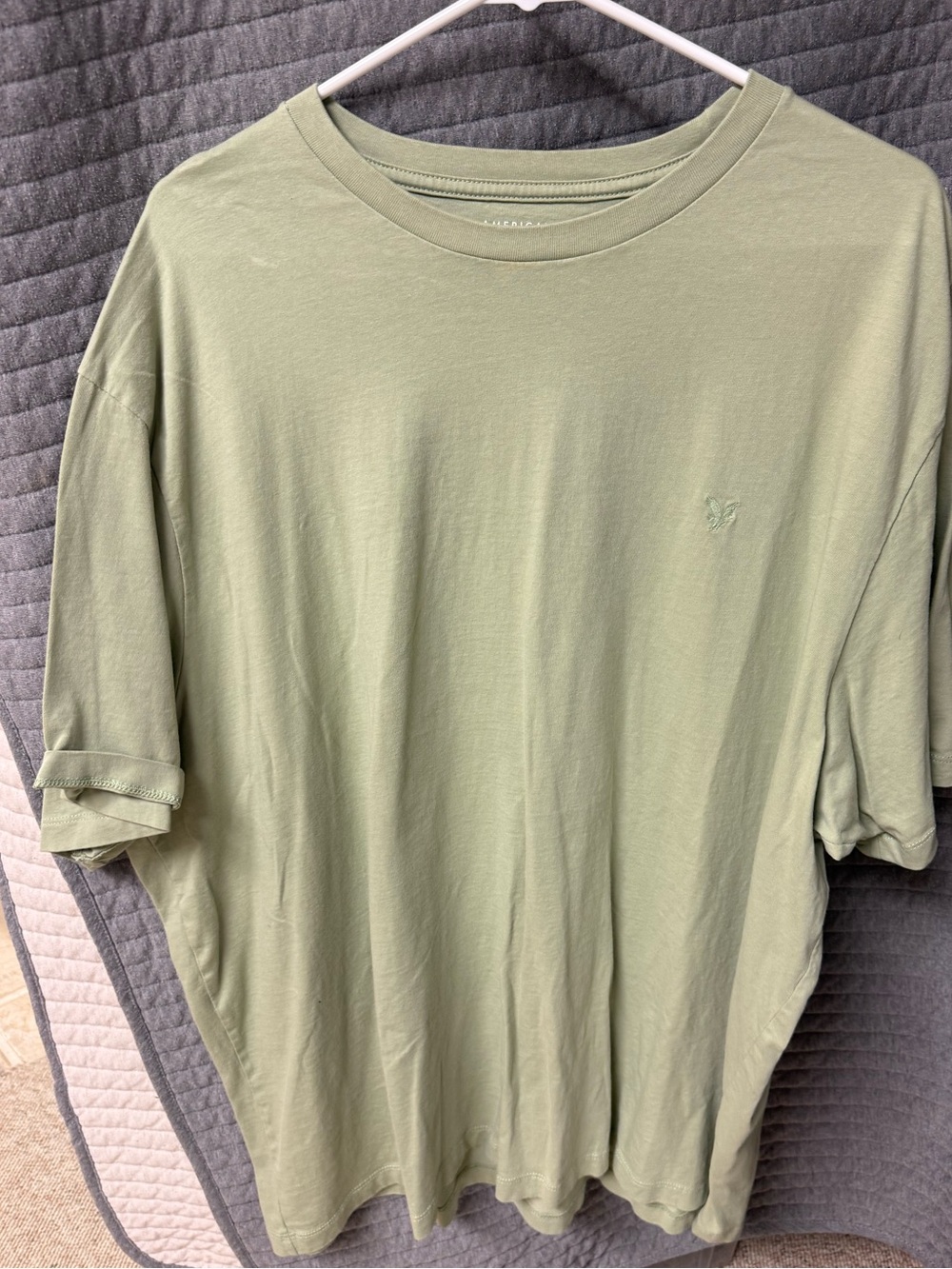 American Eagle Outfitters Sage Green Short-Sleeve Crewneck Tee